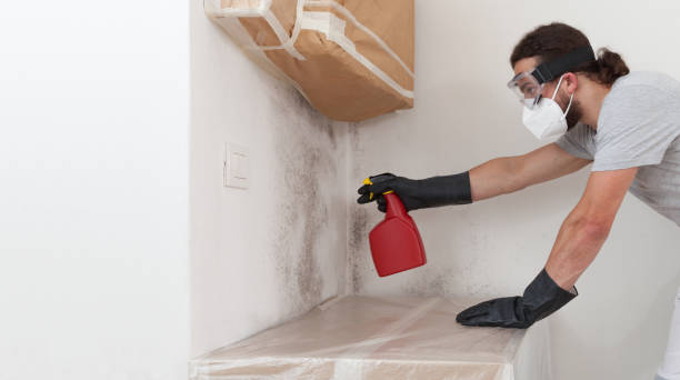 Professional Attic Mold Remediation technician working in Old Bridge, NJ