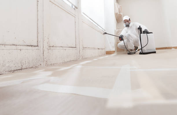 24/7 Emergency Attic Mold Remediation experts in Old Bridge, NJ