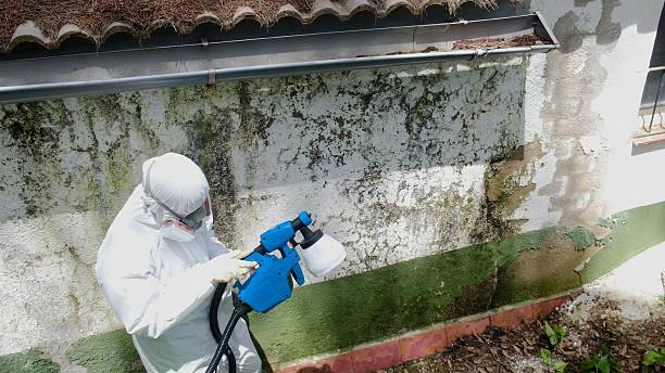 Top rated local Attic Mold Remediation specialists in Old Bridge, NJ